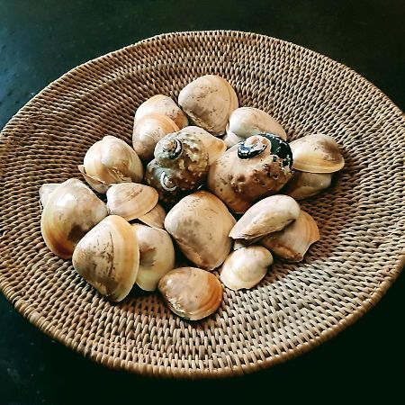 Hope Villa Bed & Breakfast 克尼斯纳 外观 照片
